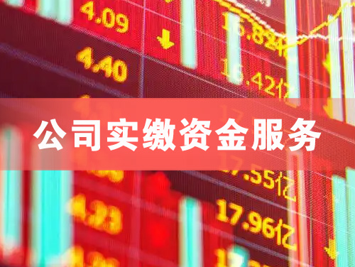潮州公司实缴资金服务