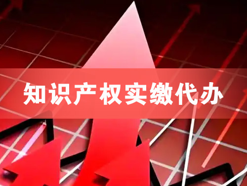 潮州知识产权实缴资本代办